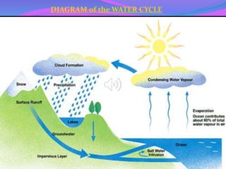 RECAP
Now let’s watch a video from
youtube about watercycle
https://youtu.be/ncORPosDrjI
 