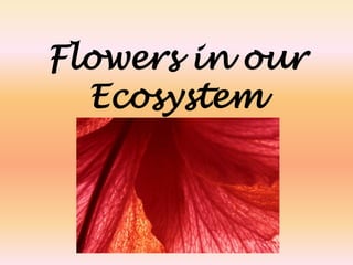 Flowers in our Ecosystem 