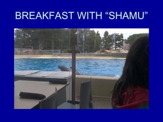 BREAKFAST WITH “SHAMU”
 