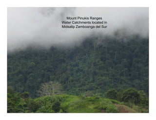 Mount Pinukis Ranges
Water Catchments located in
Midsalip Zamboanga del Sur
 