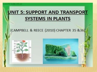 LIFE SCIENCE. Support and transport system in plants, (CAMPBELL AND REECE (2010) CHAPTER 35-36)