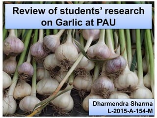 Review of students’ research
on Garlic at PAU
Dharmendra Sharma
L-2015-A-154-M
 