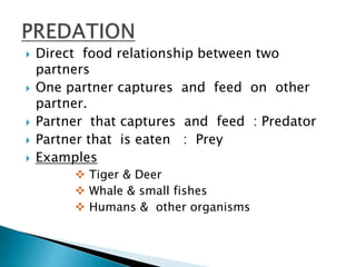  Direct food relationship between two 
partners 
 One partner captures and feed on other 
partner. 
 Partner that captures and feed : Predator 
 Partner that is eaten : Prey 
 Examples 
 Tiger & Deer 
 Whale & small fishes 
 Humans & other organisms 
 