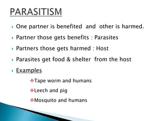  One partner is benefited and other is harmed. 
 Partner those gets benefits : Parasites 
 Partners those gets harmed : Host 
 Parasites get food & shelter from the host 
 Examples 
Tape worm and humans 
Leech and pig 
Mosquito and humans 
 