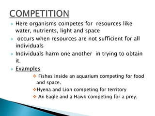  Here organisms competes for resources like 
water, nutrients, light and space 
 occurs when resources are not sufficient for all 
individuals 
 Individuals harm one another in trying to obtain 
it. 
 Examples 
 Fishes inside an aquarium competing for food 
and space. 
Hyena and Lion competing for territory 
 An Eagle and a Hawk competing for a prey. 
 