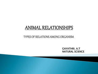 TYPES OF RELATIONS AMONG ORGANISM 
GAYATHRI. A.T 
NATURAL SCIENCE 
 