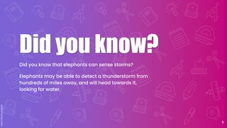 Did you know?
Did you know that elephants can sense storms?
Elephants may be able to detect a thunderstorm from
hundreds of miles away, and will head towards it,
looking for water.
5
 