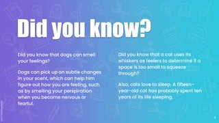 Did you know?
Did you know that a cat uses its
whiskers as feelers to determine if a
space is too small to squeeze
through?
Also, cats love to sleep. A fifteen-
year-old cat has probably spent ten
years of its life sleeping.
Did you know that dogs can smell
your feelings?
Dogs can pick up on subtle changes
in your scent, which can help him
figure out how you are feeling, such
as by smelling your perspiration
when you become nervous or
fearful.
6
 