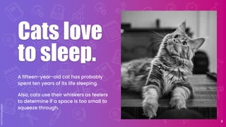 Cats love
to sleep.
A fifteen-year-old cat has probably
spent ten years of its life sleeping.
Also, cats use their whiskers as feelers
to determine if a space is too small to
squeeze through.
9
 