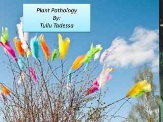 Plant Pathology
By:
Tullu Tadessa
 