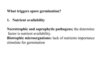 What triggers spore germination?
1. Nutrient availability
Necrotrophic and saprophytic pathogens; the determine
factor is nutrient availability.
Biotrophic microorganisms: lack of nutrients importance
stimulate for germination
 
