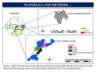 Hararge Map Powerpoint Presentation (FFV).pptx