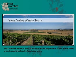 Wild Wombat Winery Tours specializes in boutique tours of the Yarra Valley
wineries and sHealesville Sanctuary tours.
 