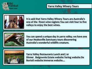 Yarra Valley Winery Tours



It is said that Yarra Valley Winery Tours are Australia's
one of the finest wine regions You can visit four to five
valleys to enjoy the best wines.



You can spend a unique day in yarra valley. we have one
of our Healesville Sanctuary tours discovering
Australia's wonderful wildlife creature.



Yarra Valley Restaurants Lunch and / or
Dinner Balgownie Estate website Yering website De
Bortoli website Immerse website…
 