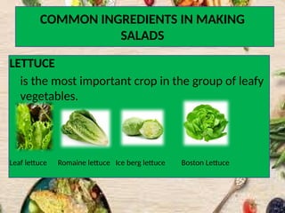 COMMON INGREDIENTS IN MAKING
SALADS
LETTUCE
is the most important crop in the group of leafy
vegetables.
Leaf lettuce Romaine lettuce Ice berg lettuce Boston Lettuce
 