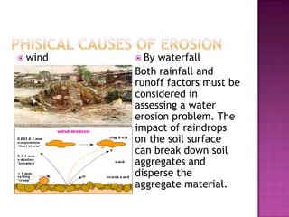 Phisical Causes of ErosionwindBy waterfallBoth rainfall and runoff factors must be considered in assessing a water erosion problem. The impact of raindrops on the soil surface can break down soil aggregates and disperse the aggregate material.