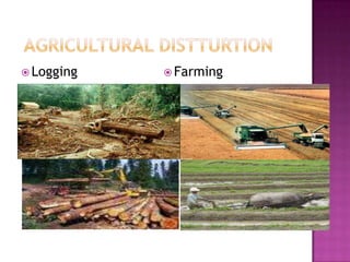  Agricultural DistturtionLoggingFarming