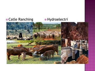 Catle RanchingHydroelectri desert