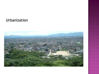 Urbanization