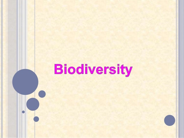 essay on biodiversity importance threats and conservation Biodiversity is an important global issue appropriate conservation and sustainable development strategies attempt to recognize this as being much of the world's marine biodiversity face threats from human and activities as well as natural it is feared that very soon, many. essay on biodiversity importance threats and conservation Biodiversity is an important global issue appropriate conservation and sustainable development strategies attempt to recognize this as being much of the world's marine biodiversity face threats from human and activities as well as natural it is feared that very soon, many.