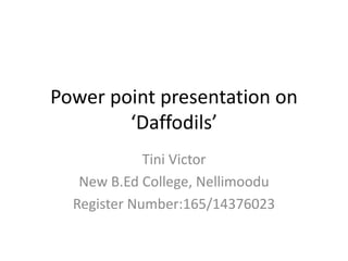 Power point presentation on
‘Daffodils’
Tini Victor
New B.Ed College, Nellimoodu
Register Number:165/14376023
 