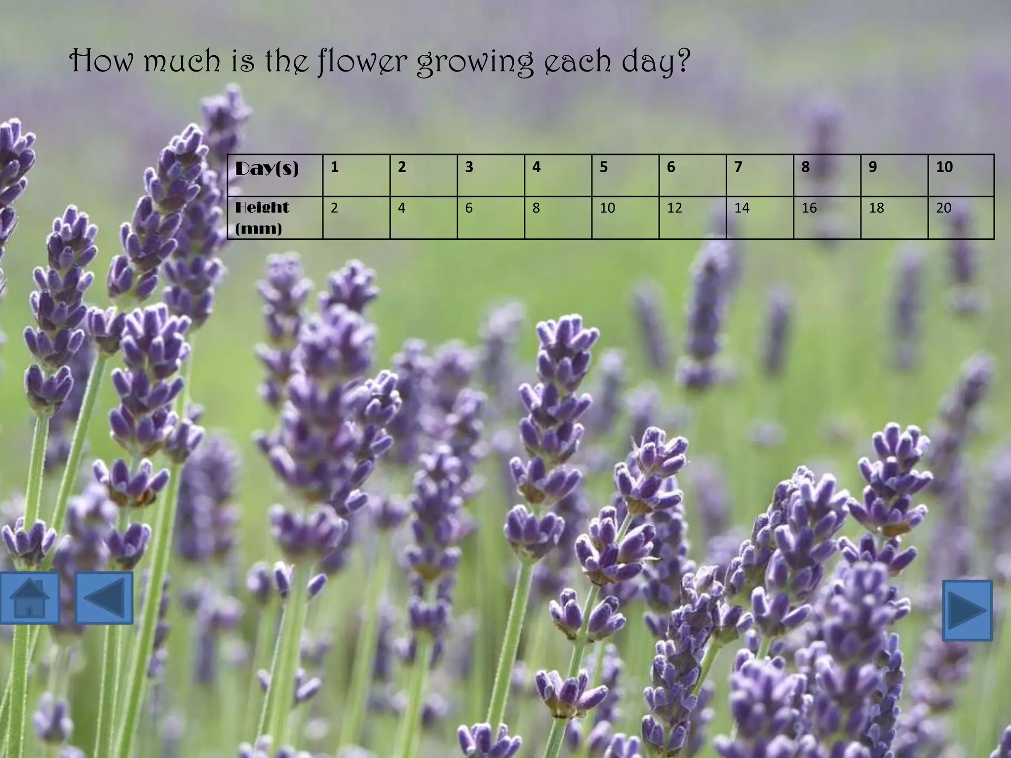 How much is the flower growing each day?


          Day(s)   1   2   3   4   5    6    7    8    9    10

          Height   2   4   6   8   10   12   14   16   18   20
          (mm)
 