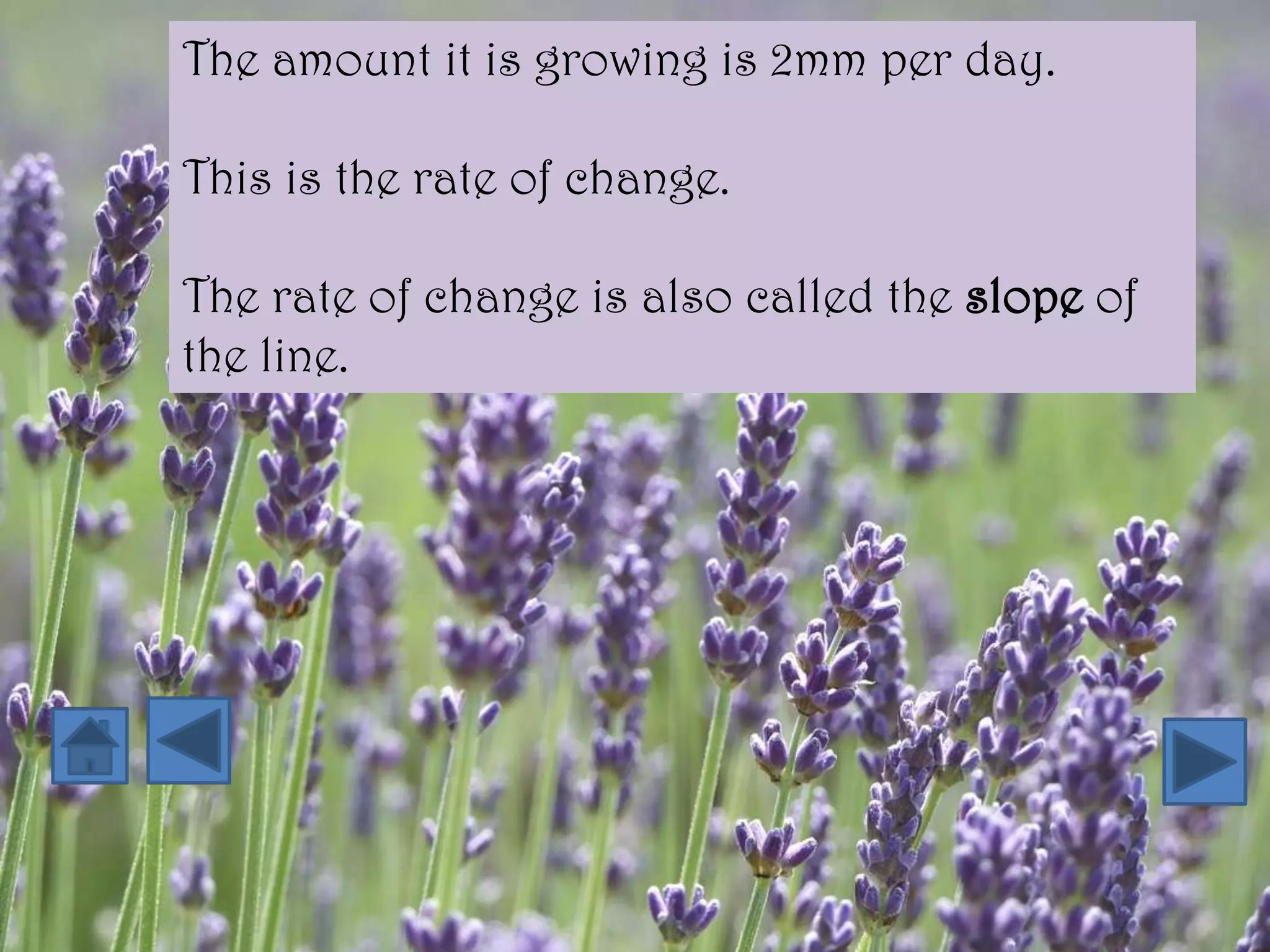 The amount it is growing is 2mm per day.

This is the rate of change.

The rate of change is also called the slope of
the line.
 
