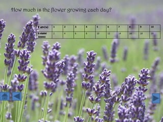 How much is the flower growing each day?


          Day(s)   1   2   3   4   5    6    7    8    9    10

          Height   2   4   6   8   10   12   14   16   18   20
          (mm)
 