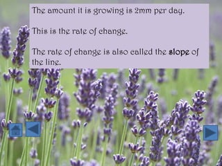 The amount it is growing is 2mm per day.

This is the rate of change.

The rate of change is also called the slope of
the line.
 