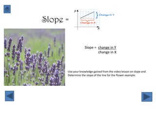 Slope =


                   Slope = change in Y
                           change in X



      Use your knowledge gained from the video lesson on slope and
      Determine the slope of the line for the flower example.
 