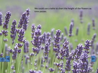 We could use a table to chart the height of the flowers as
time passes.
 