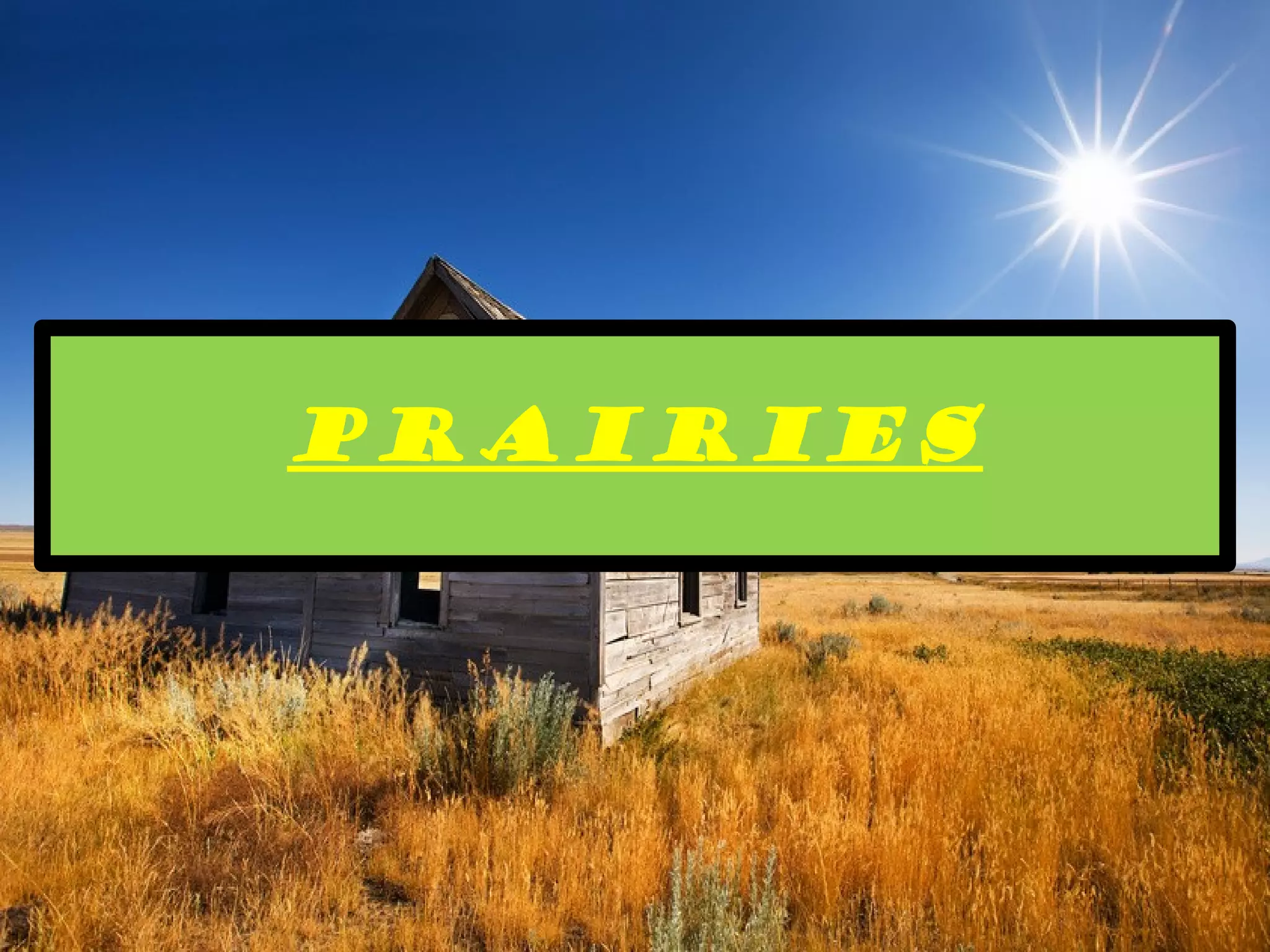 PRAIRIES
 