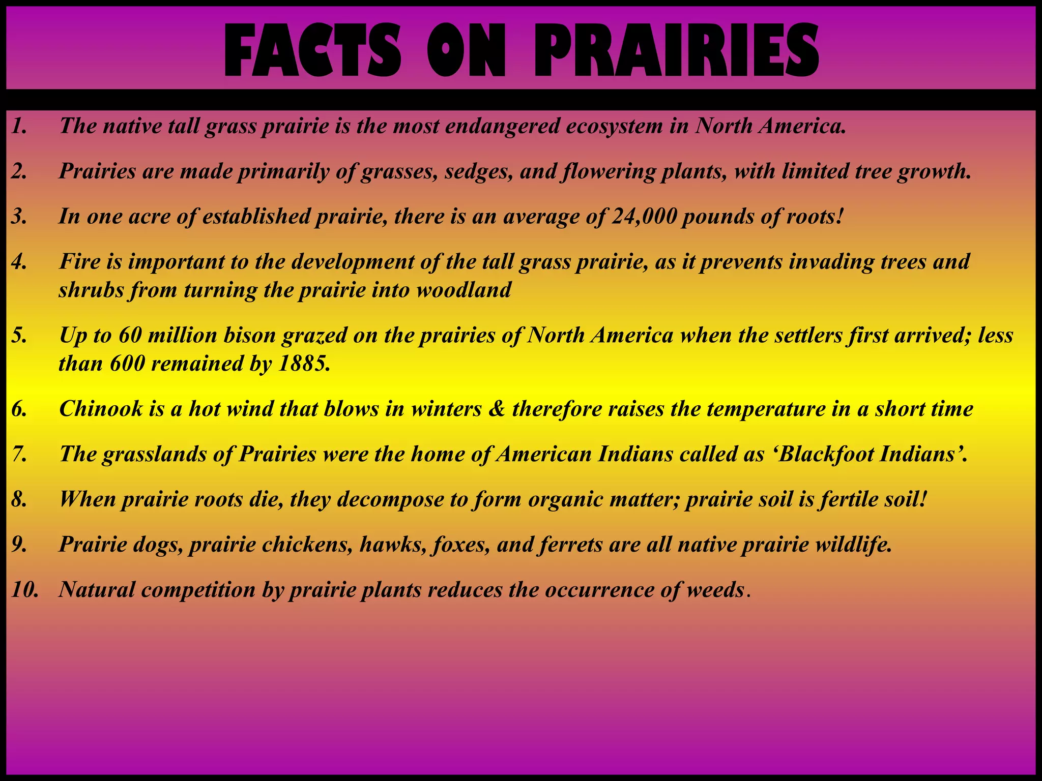 FACTS ON PRAIRIES
1. The native tall grass prairie is the most endangered ecosystem in North America.
2. Prairies are made primarily of grasses, sedges, and flowering plants, with limited tree growth.
3. In one acre of established prairie, there is an average of 24,000 pounds of roots!
4. Fire is important to the development of the tall grass prairie, as it prevents invading trees and
shrubs from turning the prairie into woodland
5. Up to 60 million bison grazed on the prairies of North America when the settlers first arrived; less
than 600 remained by 1885.
6. Chinook is a hot wind that blows in winters & therefore raises the temperature in a short time
7. The grasslands of Prairies were the home of American Indians called as ‘Blackfoot Indians’.
8. When prairie roots die, they decompose to form organic matter; prairie soil is fertile soil!
9. Prairie dogs, prairie chickens, hawks, foxes, and ferrets are all native prairie wildlife.
10. Natural competition by prairie plants reduces the occurrence of weeds.
 