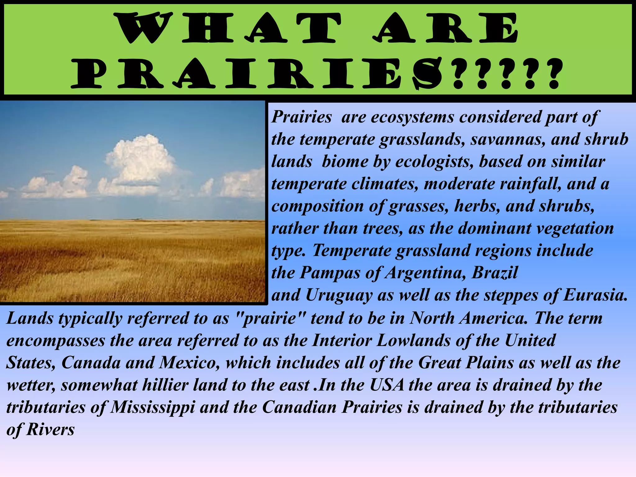 What are
Prairies?????
Prairies are ecosystems considered part of
the temperate grasslands, savannas, and shrub
lands biome by ecologists, based on similar
temperate climates, moderate rainfall, and a
composition of grasses, herbs, and shrubs,
rather than trees, as the dominant vegetation
type. Temperate grassland regions include
the Pampas of Argentina, Brazil
and Uruguay as well as the steppes of Eurasia.
Lands typically referred to as "prairie" tend to be in North America. The term
encompasses the area referred to as the Interior Lowlands of the United
States, Canada and Mexico, which includes all of the Great Plains as well as the
wetter, somewhat hillier land to the east .In the USA the area is drained by the
tributaries of Mississippi and the Canadian Prairies is drained by the tributaries
of Rivers
 
