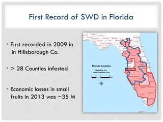 Distribution and Management of Spotted Wing Drosophila in Florida Berry ...