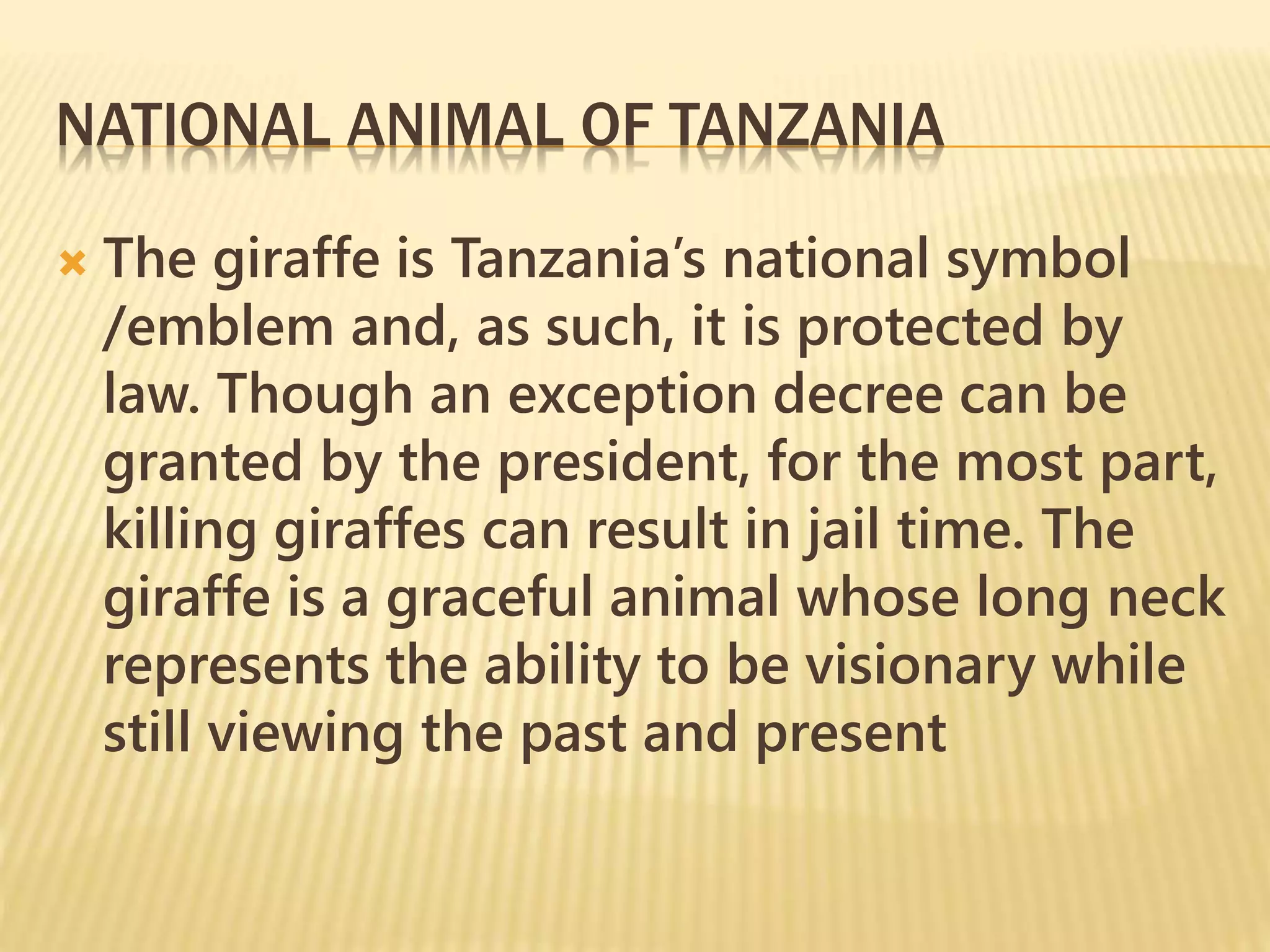 NATIONAL ANIMAL OF TANZANIA
 The giraffe is Tanzania’s national symbol
/emblem and, as such, it is protected by
law. Though an exception decree can be
granted by the president, for the most part,
killing giraffes can result in jail time. The
giraffe is a graceful animal whose long neck
represents the ability to be visionary while
still viewing the past and present
 