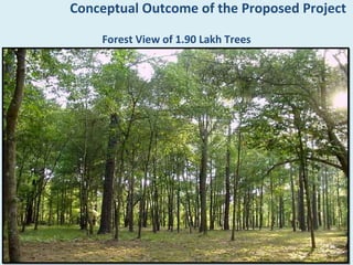 Conceptual Outcome of the Proposed Project

    Forest View of 1.90 Lakh Trees
 