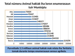 Total númeru Animal hakiak iha loron enumerasaun
tuir Munisípiu
Baucau
Viqueque
Bobonaro
Oe-Cusse
Lautem
Ermera
Covalima
Manatuto
Liquica
Ainaro
Manufahi
Dili
Aileu
0 50000 100000 150000 200000 250000 300000 350000
319370
244332
213045
211140
193216
186034
183486
174257
148377
114637
113401
91047
75034
Purvoltade 2.3 milliaun animal hakiak mak relata iha Teritóriu
tomak durante tempu enumerasaun sensus agríkola.
 