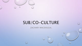 SUB/CO-CULTURE
ZACHARY MACDOUGAL
 
