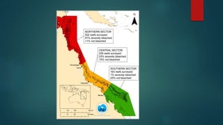 Powerpoint presesntation speech and script | PPTX