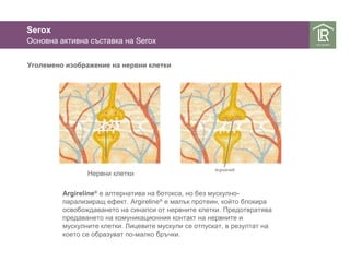Serox 
Основна активна съставка на Serox 
Уголемено изображение на нервни клетки 
Нервни клетки Argireline® 
Argireline® е алтернатива на ботокса, но без мускулно- 
парализиращ ефект. Argireline® е малък протеин, който блокира 
освобождаването на синапси от нервните клетки. Предотвратява 
предаването на комуникационния контакт на нервните и 
мускулните клетки. Лицевите мускули се отпускат, в резултат на 
което се образуват по-малко бръчки. 
 