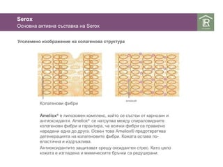 Serox 
Основна активна съставка на Serox 
Уголемено изображение на колагенова структура 
Колагенови фибри Ameliox® 
Ameliox® е липозомен комплекс, който се състои от карнозин и 
антиоксиданти. Ameliox® се натрупва между спираловидните 
колагенови фибри и гарантира, че всички фибри са правилно 
наредени една до друга. Освен това Ameliox® предотвратява 
дегенерацията на колагеновите фибри. Кожата остава по- 
еластична и издръжлива. 
Антиоксидантите защитават срещу оксидантен стрес. Като цяло 
кожата е изгладена и мимическите бръчки са редуцирани. 
 