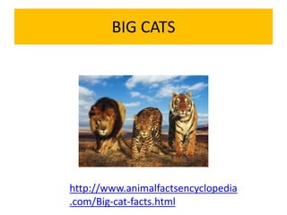BIG CATS
http://www.animalfactsencyclopedia
.com/Big-cat-facts.html
 