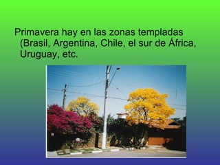 Primavera hay en las zonas templadas (Brasil, Argentina, Chile, el sur de África, Uruguay, etc.