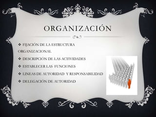 ORGANIZACIÓNFIJACIÓN DE LA ESTRUCTURA ORGANIZACIONALDESCRIPCIÓN DE LAS ACTIVIDADESESTABLECER LAS  FUNCIONESLINEAS DE AUTORIDAD  Y RESPONSABILIDADDELEGACIÓN DE AUTORIDAD