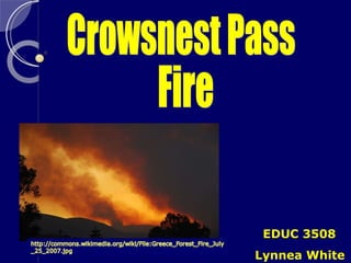 Crowsnest Pass Fire EDUC 3508 Lynnea White 