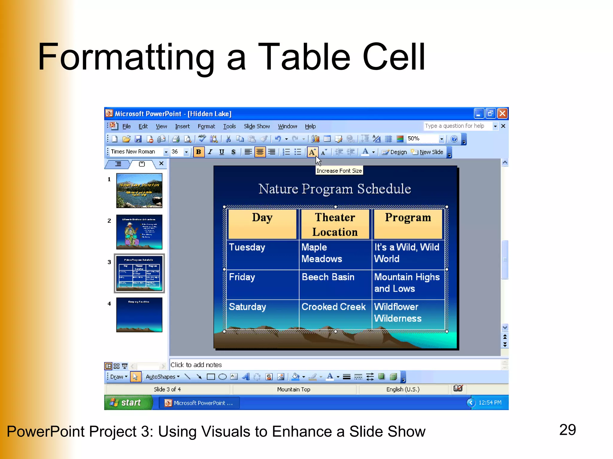 Formatting a Table Cell 