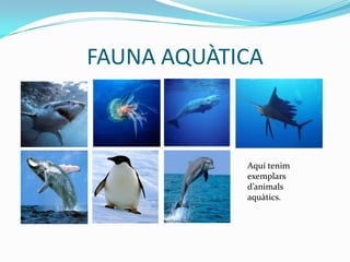 L’aigua, de vegades, quan es congela, 