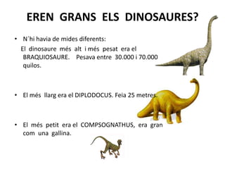 EREN  GRANS  ELS  DINOSAURES?N´hi havia de mides diferents:    El  dinosauremésalt  i méspesat  era el BRAQUIOSAURE.    Pesava entre  30.000 i 70.000 quilos.  El mésllarg era el DIPLODOCUS. Feia 25 metres. El  méspetit  era el  COMPSOGNATHUS,  era  gran com  una  gallina.