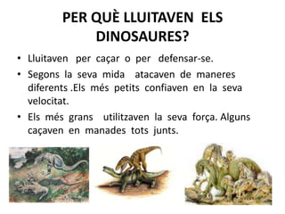 PER QUÈ LLUITAVEN  ELS  DINOSAURES?Lluitaven   per  caçar  o  per   defensar-se.Segons  la  seva  mida    atacaven  de  maneres  diferents .Els  més  petits  confiaven  en  la  seva  velocitat.  Els  més  grans    utilitzaven  la  seva  força. Alguns  caçaven  en  manades  tots  junts.